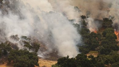 Lake Fire Threatens Neverland Ranch