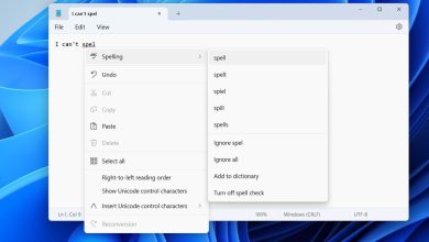 Microsoft’s Notepad gets spellcheck and autocorrect 40 years after launch